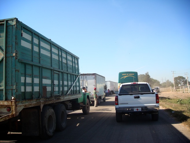 MX Traffic